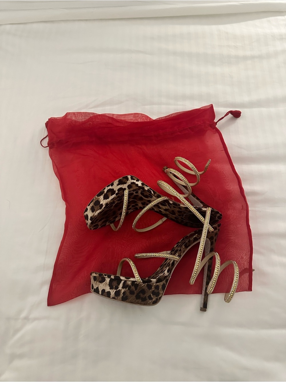 Rene Caovilla Gold Spiral-Strap Leopard Sandals - Picture 5 of 6